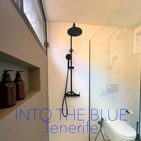 Apartment Into The Blue
